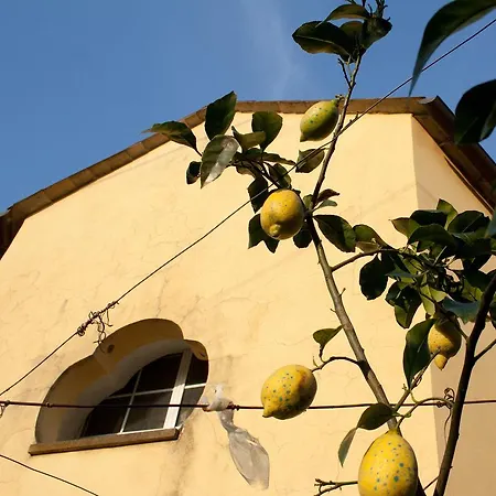 Family House Levanto