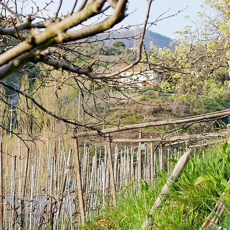 Family House Apartment Levanto