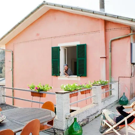Family House *